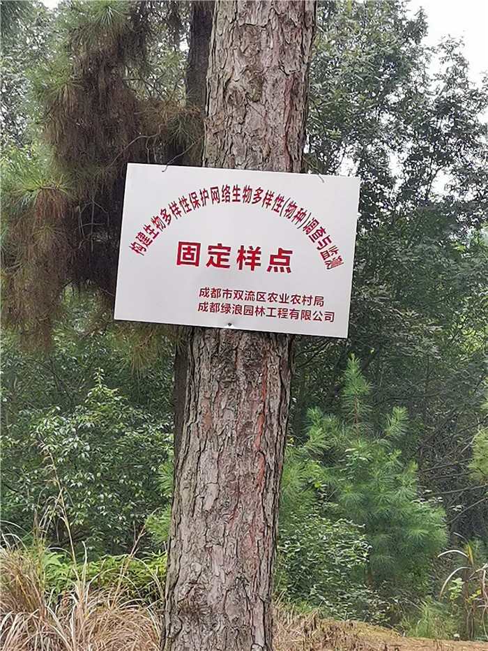 1578911217207800.jpg